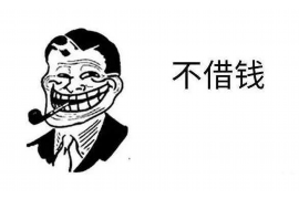 清城清城的要账公司在催收过程中的策略和技巧有哪些？